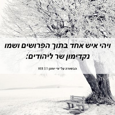 Picture 06 - הבשורה על־פי יוחנן 3:1 HEB - ויהי איש אחד בתוך הפרושים - Bible Verse Picture