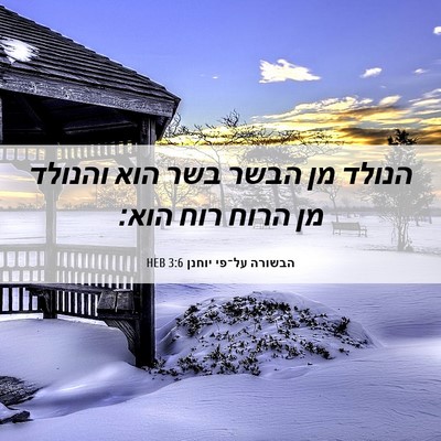 Picture 06 - הבשורה על־פי יוחנן 3:6 HEB - הנולד מן הבשר בשר הוא - Bible Verse Picture