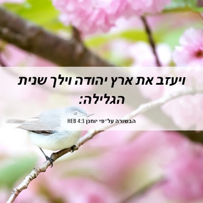 Picture 06 - הבשורה על־פי יוחנן 4:3 HEB - ויעזב את ארץ יהודה וילך - Bible Verse Picture