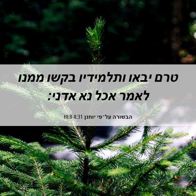 Picture 06 - הבשורה על־פי יוחנן 4:31 HEB - טרם יבאו ותלמידיו בקשו - Bible Verse Picture