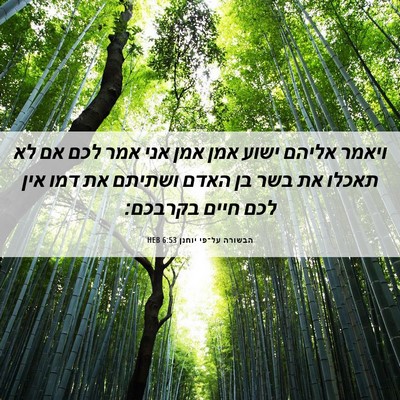 Picture 06 - הבשורה על־פי יוחנן 6:53 HEB - ויאמר אליהם ישוע אמן אמן - Bible Verse Picture