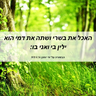 Picture 06 - הבשורה על־פי יוחנן 6:56 HEB - האכל את בשרי ושתה את דמי - Bible Verse Picture