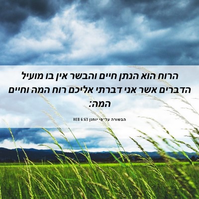 Picture 06 - הבשורה על־פי יוחנן 6:63 HEB - הרוח הוא הנתן חיים והבשר - Bible Verse Picture