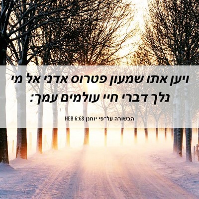 Picture 06 - הבשורה על־פי יוחנן 6:68 HEB - ויען אתו שמעון פטרוס אדני - Bible Verse Picture