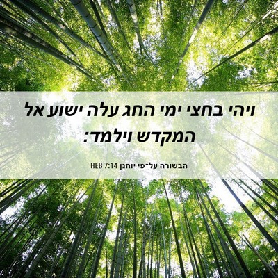 Picture 06 - הבשורה על־פי יוחנן 7:14 HEB - ויהי בחצי ימי החג עלה ישוע - Bible Verse Picture
