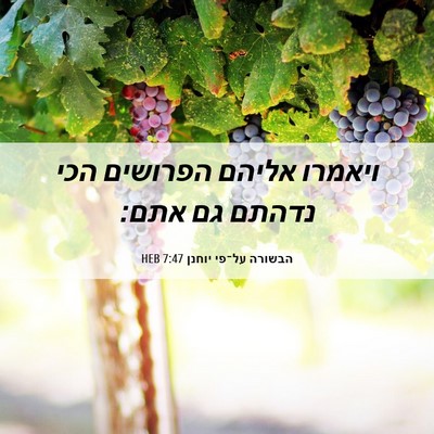 Picture 06 - הבשורה על־פי יוחנן 7:47 HEB - ויאמרו אליהם הפרושים הכי - Bible Verse Picture