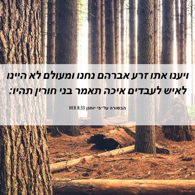 Picture 06 - הבשורה על־פי יוחנן 8:33 HEB - ויענו אתו זרע אברהם נחנו - Bible Verse Picture