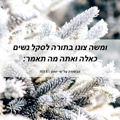 Picture 06 - הבשורה על־פי יוחנן 8:5 HEB - ומשה צונו בתורה לסקל נשים - Bible Verse Picture