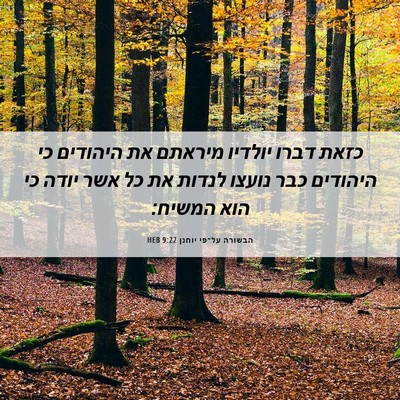 Picture 06 - הבשורה על־פי יוחנן 9:22 HEB - כזאת דברו יולדיו מיראתם את - Bible Verse Picture