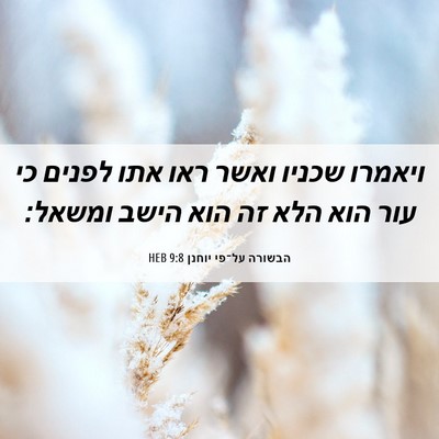 Picture 06 - הבשורה על־פי יוחנן 9:8 HEB - ויאמרו שכניו ואשר ראו אתו - Bible Verse Picture