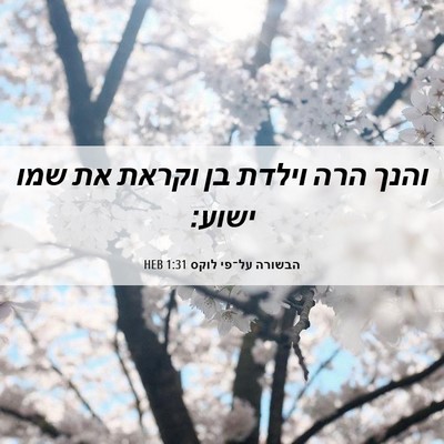 Picture 06 - הבשורה על־פי לוקס 1:31 HEB - והנך הרה וילדת בן וקראת את - Bible Verse Picture