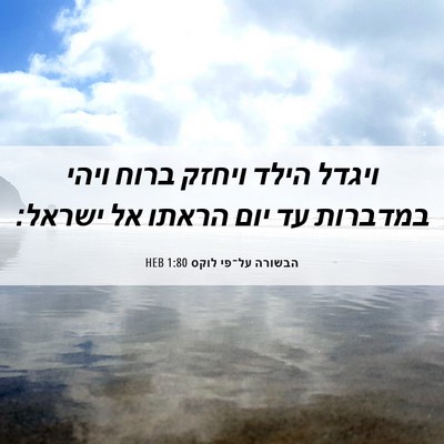 Picture 06 - הבשורה על־פי לוקס 1:80 HEB - ויגדל הילד ויחזק ברוח ויהי - Bible Verse Picture