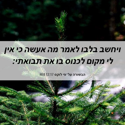 Picture 06 - הבשורה על־פי לוקס 12:17 HEB - ויחשב בלבו לאמר מה אעשה כי - Bible Verse Picture