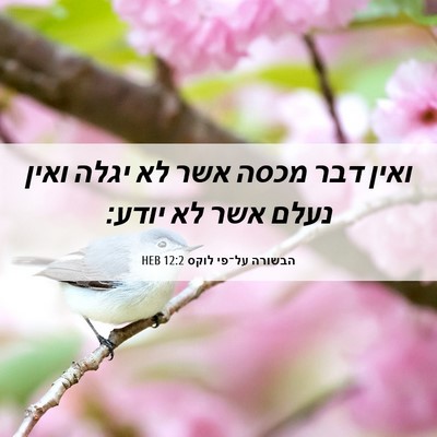 Picture 06 - הבשורה על־פי לוקס 12:2 HEB - ואין דבר מכסה אשר לא יגלה - Bible Verse Picture