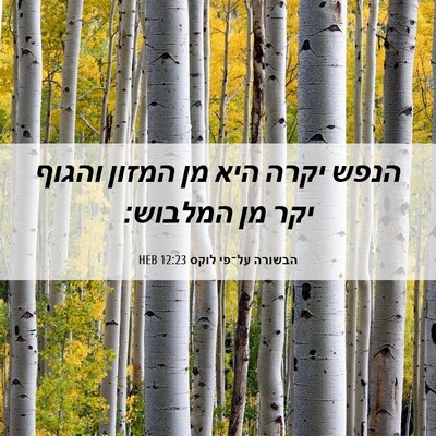 Picture 06 - הבשורה על־פי לוקס 12:23 HEB - הנפש יקרה היא מן המזון - Bible Verse Picture