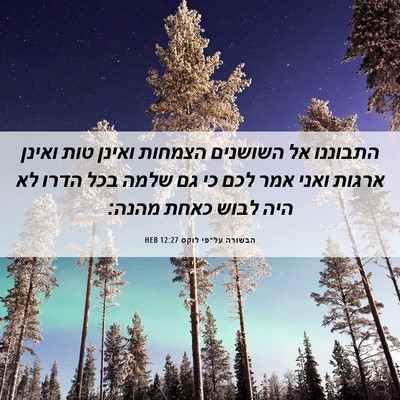 Picture 06 - הבשורה על־פי לוקס 12:27 HEB - התבוננו אל השושנים הצמחות - Bible Verse Picture