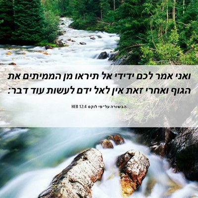 Picture 06 - הבשורה על־פי לוקס 12:4 HEB - ואני אמר לכם ידידי אל תיראו - Bible Verse Picture