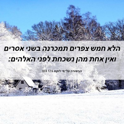 Picture 06 - הבשורה על־פי לוקס 12:6 HEB - הלא חמש צפרים תמכרנה בשני - Bible Verse Picture