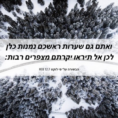Picture 06 - הבשורה על־פי לוקס 12:7 HEB - ואתם גם שערות ראשכם נמנות - Bible Verse Picture