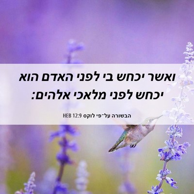 Picture 06 - הבשורה על־פי לוקס 12:9 HEB - ואשר יכחש בי לפני האדם הוא - Bible Verse Picture