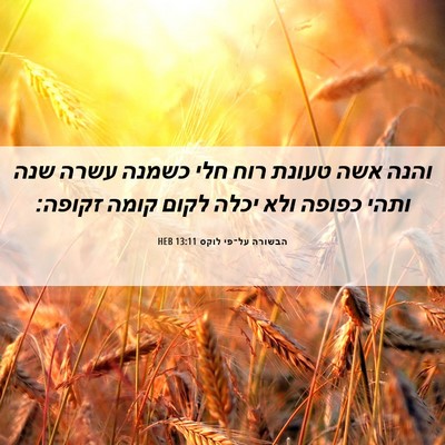Picture 06 - הבשורה על־פי לוקס 13:11 HEB - והנה אשה טעונת רוח חלי - Bible Verse Picture