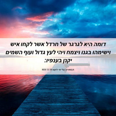 Picture 06 - הבשורה על־פי לוקס 13:19 HEB - דומה היא לגרגר של חרדל אשר - Bible Verse Picture