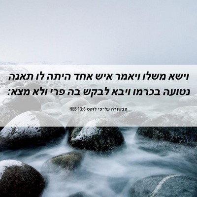 Picture 06 - הבשורה על־פי לוקס 13:6 HEB - וישא משלו ויאמר איש אחד - Bible Verse Picture