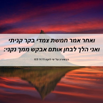 Picture 06 - הבשורה על־פי לוקס 14:19 HEB - ואחר אמר חמשת צמדי בקר - Bible Verse Picture
