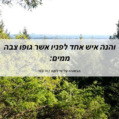 Picture 06 - הבשורה על־פי לוקס 14:2 HEB - והנה איש אחד לפניו אשר גופו - Bible Verse Picture