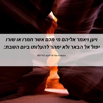 Picture 06 - הבשורה על־פי לוקס 14:5 HEB - ויען ויאמר אליהם מי מכם אשר - Bible Verse Picture
