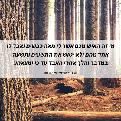 Picture 06 - הבשורה על־פי לוקס 15:4 HEB - מי זה האיש מכם אשר לו מאה - Bible Verse Picture