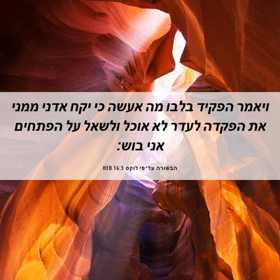 Picture 06 - הבשורה על־פי לוקס 16:3 HEB - ויאמר הפקיד בלבו מה אעשה כי - Bible Verse Picture