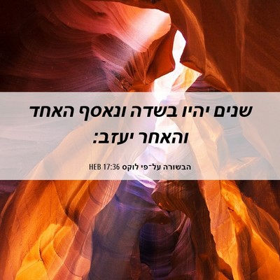 Picture 06 - הבשורה על־פי לוקס 17:36 HEB - שנים יהיו בשדה ונאסף האחד - Bible Verse Picture