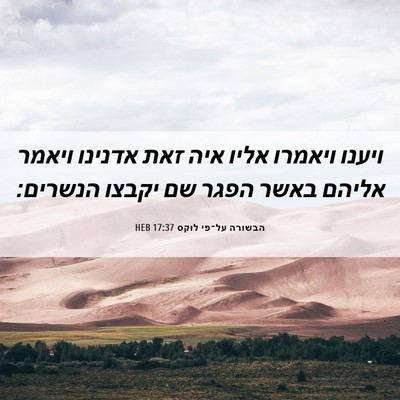 Picture 06 - הבשורה על־פי לוקס 17:37 HEB - ויענו ויאמרו אליו איה זאת - Bible Verse Picture
