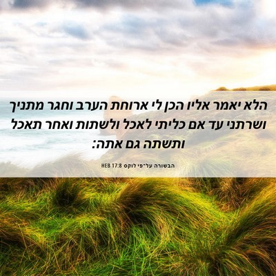Picture 06 - הבשורה על־פי לוקס 17:8 HEB - הלא יאמר אליו הכן לי ארוחת - Bible Verse Picture