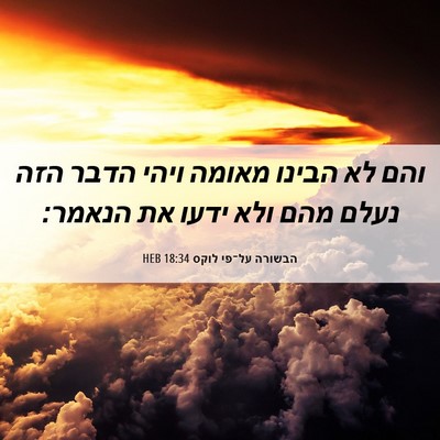 Picture 06 - הבשורה על־פי לוקס 18:34 HEB - והם לא הבינו מאומה ויהי - Bible Verse Picture