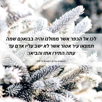 Picture 06 - הבשורה על־פי לוקס 19:30 HEB - לכו אל הכפר אשר ממולנו והיה - Bible Verse Picture