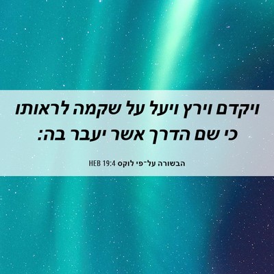 Picture 06 - הבשורה על־פי לוקס 19:4 HEB - ויקדם וירץ ויעל על שקמה - Bible Verse Picture
