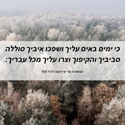 Picture 06 - הבשורה על־פי לוקס 19:43 HEB - כי ימים באים עליך ושפכו - Bible Verse Picture