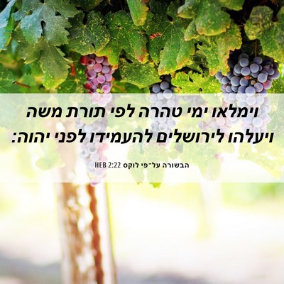 Picture 06 - הבשורה על־פי לוקס 2:22 HEB - וימלאו ימי טהרה לפי תורת - Bible Verse Picture