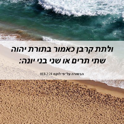 Picture 06 - הבשורה על־פי לוקס 2:24 HEB - ולתת קרבן כאמור בתורת יהוה - Bible Verse Picture