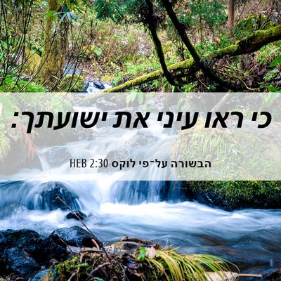 Picture 06 - הבשורה על־פי לוקס 2:30 HEB - כי ראו עיני את - Bible Verse Picture