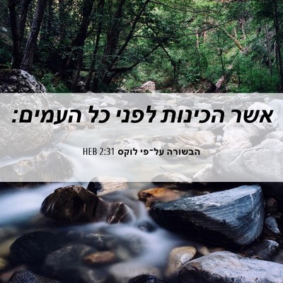 Picture 06 - הבשורה על־פי לוקס 2:31 HEB - אשר הכינות לפני כל - Bible Verse Picture