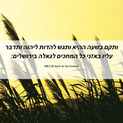 Picture 06 - הבשורה על־פי לוקס 2:38 HEB - ותקם בשעה ההיא ותגש להדות - Bible Verse Picture