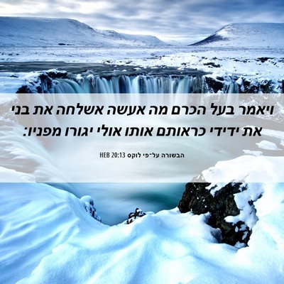 Picture 06 - הבשורה על־פי לוקס 20:13 HEB - ויאמר בעל הכרם מה אעשה - Bible Verse Picture