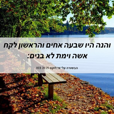 Picture 06 - הבשורה על־פי לוקס 20:29 HEB - והנה היו שבעה אחים והראשון - Bible Verse Picture