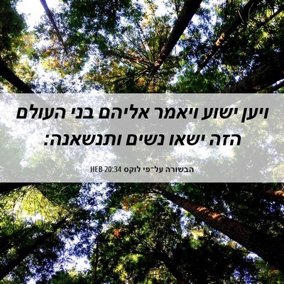Picture 06 - הבשורה על־פי לוקס 20:34 HEB - ויען ישוע ויאמר אליהם בני - Bible Verse Picture