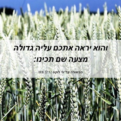 Picture 06 - הבשורה על־פי לוקס 22:12 HEB - והוא יראה אתכם עליה גדולה - Bible Verse Picture