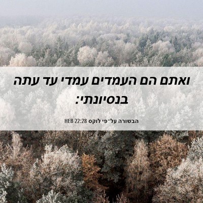 Picture 06 - הבשורה על־פי לוקס 22:28 HEB - ואתם הם העמדים עמדי עד עתה - Bible Verse Picture