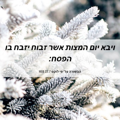 Picture 06 - הבשורה על־פי לוקס 22:7 HEB - ויבא יום המצות אשר זבוח - Bible Verse Picture